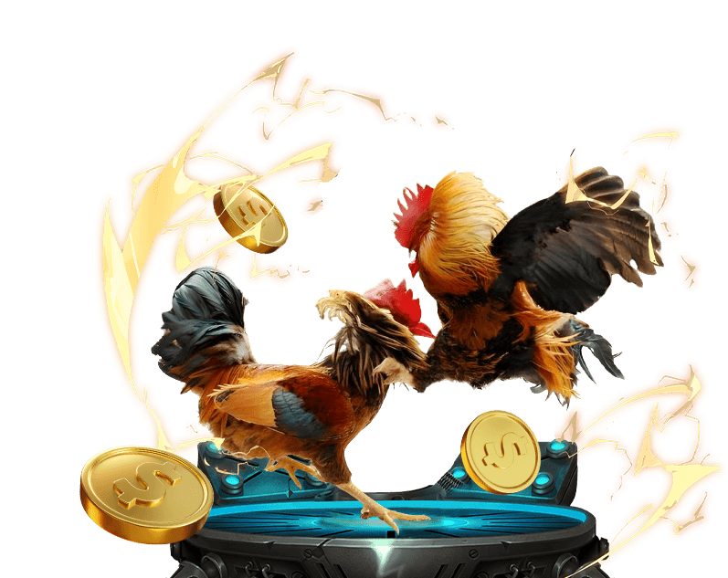 Hình ảnh đá gà trực tiếp tại lô đề 88