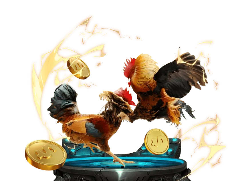 Hình ảnh gà đòn, loại gà chiến phổ biến trong đấu gà trực tuyến và lô đề online